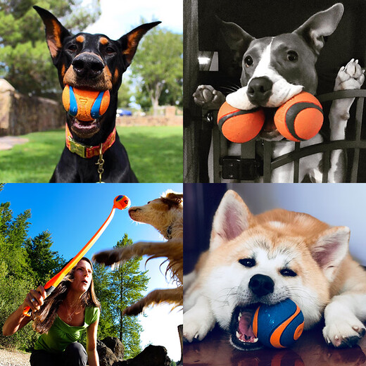 Chuckit! Rubber ball petmate ball pet dog toys resistant to grinding teeth interactive voice walking dog side shepherd sounding rubber ball two sets (small) diameter about 5cm