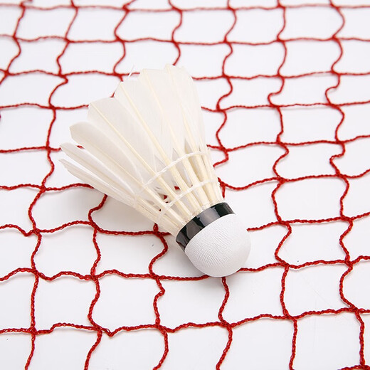 靓健羽毛球网便携式 标准网6.1m*76cm 2.0cm网眼四包边专业型