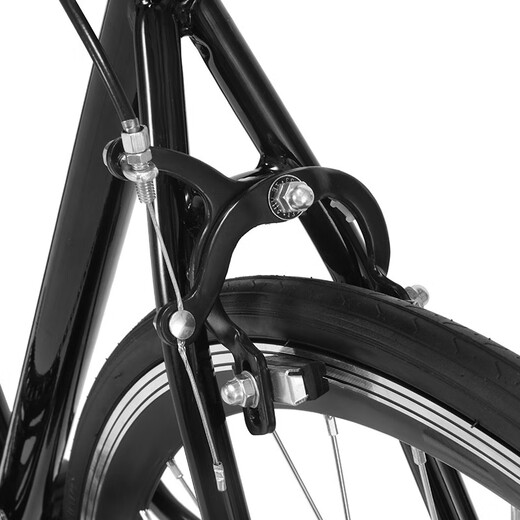 Forever Road Bicycle Männer und Frauen einfach