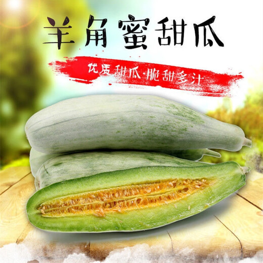 Emerald melon seeds, white thin-skinned cantaloupe seeds, four-season vegetable seeds, crispy melon seeds, early-ripening horn melons, one pack of each of 9 cantaloupe types, 38 capsules per pack + fertilizer
