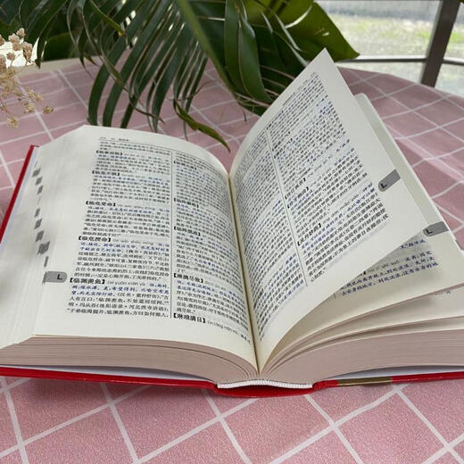 新华成语词典第2版（第二版） 商务印书馆