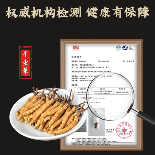 雄风道冬虫夏草 藏区雪域虫草2根一克干货冬虫草送礼佳品 50根 礼盒装
