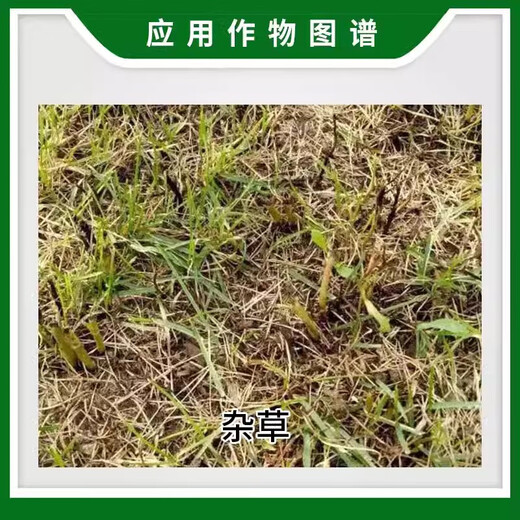 Jinfanda (JFD) Jinfanda 757 Glyphosate Ammonium Herbicide Herbicide Herbicide Herbicide 50g * 160 sacs