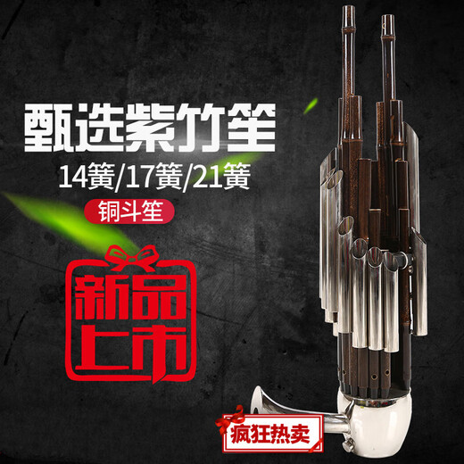 笙乐器初学者14簧方笙17簧21簧圆笙降B降CED调初学笙乐器 14簧紫竹白管铜斗笙-D调