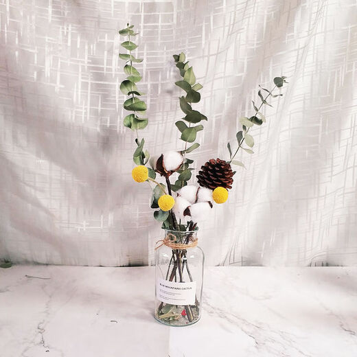 AIMAN dried flowers eucalyptus leaves Nordic style ins Nordic style small fresh living room ornaments diy home decoration ornaments SN Lover's grass a bunch without bottle 250g to dry