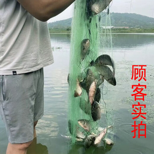 Yuxige sticky fish net fish net three-layer fishing net green silk sunken net fishing net hanging net to catch fish wire mesh sticky fish net crucian carp fish net 1.5 meters high 5 fingers 100 meters long three-layer sunken net lead pendant style
