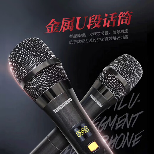 TEMEISHENG SL12-31Pro outdoor square dance karaoke audio high-power portable trolley Bluetooth mobile speaker 12-inch standard + 2 wireless microphones + gift bag (gift)