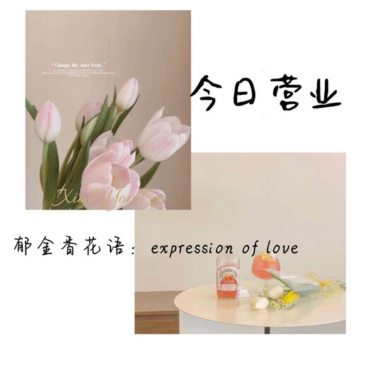 Flower love tulip flowers bouquet delivered in the same city. Birthday gift for wife, best friend, boyfriend and girlfriend. 10 pink tulips bouquet delivered in the same city. Supports appointment date.