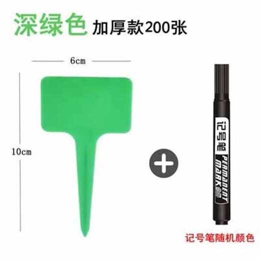 西普顿园艺多肉标签牌园艺植物花名花盆塑料标签防水小插牌多肉盆栽标签 深绿色200张送防水笔