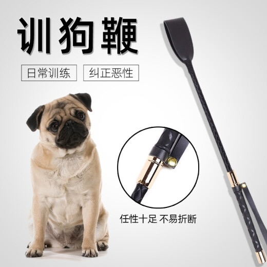 Zigman dog training whip small dog dog fighting stick dog training stick pet love snap whip dog training device training stick dog training whip 60 cm