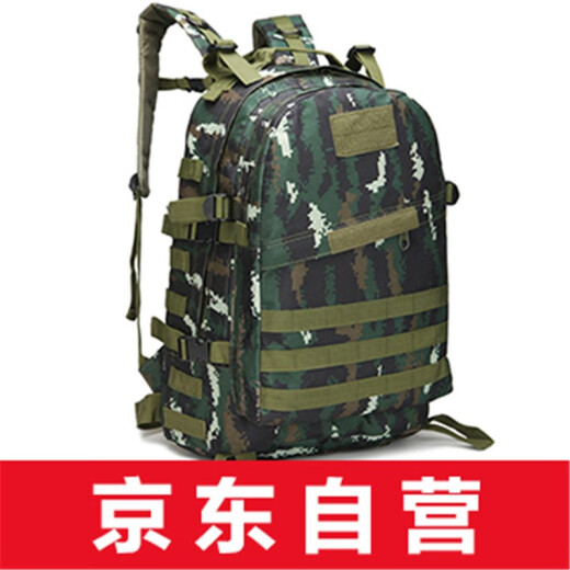 Thornwolf outdoor leisure sports backpack military fan tactical 3d bag assault travel mountaineering backpack CLBS2009ACU camouflage