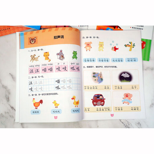 幼小衔接冲刺练习-语文297875493**834