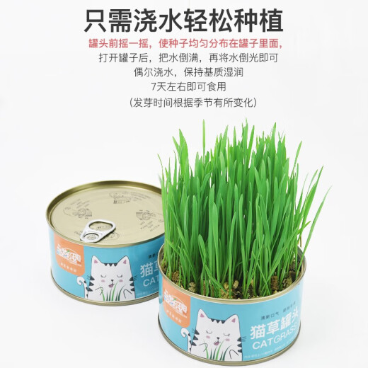 Hanhan Paradise Cat Grass Seeds Soil Culture Potted Plants Canned Dog Cat Grass Box Lazy Cat Grass Tablets Cat Snacks Cat Grass Canned Cat Zero Cat Candy 12g*2 pcs