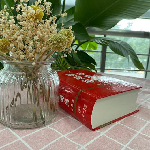 新华成语词典第2版（第二版） 商务印书馆