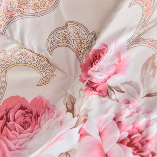Naisdi 95 white goose velvet winter quilt, down quilt, large water-washed white goose quilt, thickened double winter quilt, winter style 220*240cm