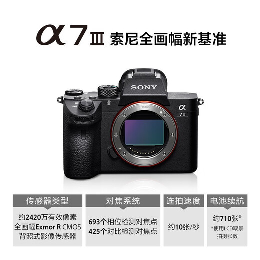 Sony [Ant Photography] ILCE-7M3 a7m3 full-frame micro-single camera A7M3K professional live debugging 4K video stand-alone + basic course Package 5 [Live package advanced version meets photography needs at the same time]
