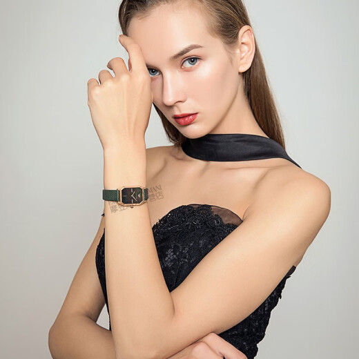 安普里奥·阿玛尼（Emporio Armani）手表女表方形欧美表石英表女士表小绿表情人节送女友生日礼物 AR11149（墨绿方表盘）