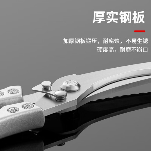 拜格（BAYCO）厨房剪刀 家用不锈钢强力剪鸡骨剪刀多功能食物烤肉专用剪BD7813