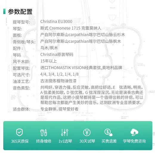 克莉丝蒂娜（Christina）欧洲原装进口小提琴EU3000A演奏手工琴成人学生儿童考级进阶初学 4/4适合身高155cm以上