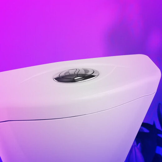 DEZHONG A805 squat toilet water tank toilet squat flush tank