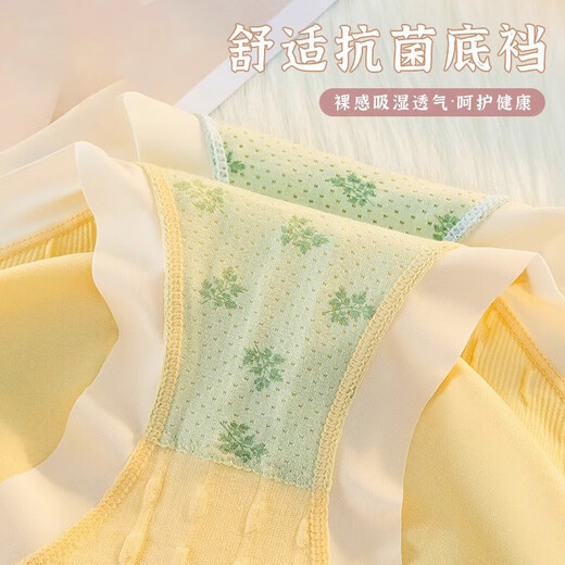 Arctic velvet 4-pair fat sister large size underwear for women 100% pure cotton antibacterial medium and high waist thin scarless pants blue + skin color + matcha + light pink 4 xL (recommended 140-200 Jin [Jin equals 0.5 kg])
