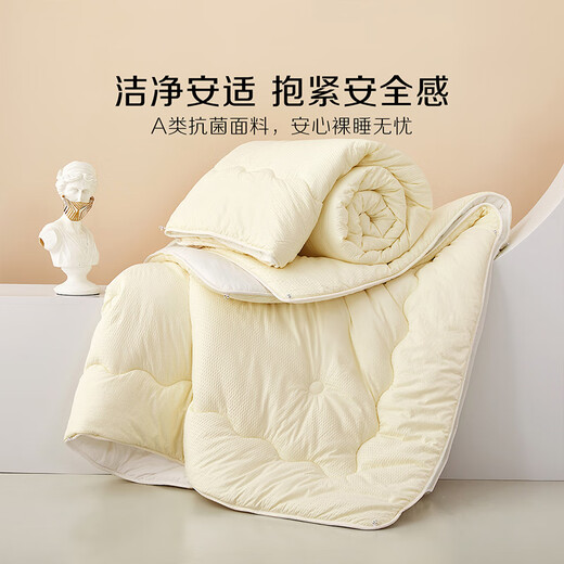 百丽丝家纺 豆泡泡抗菌被 豆泡泡抗菌冬被 150cm×210cm