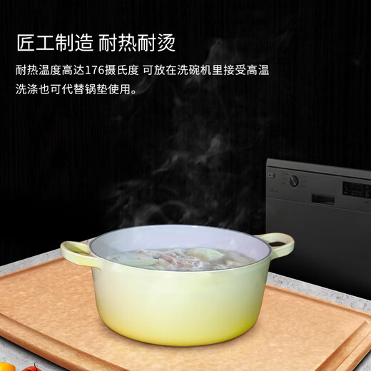 世廚（SAGE）美国进口切菜板抗菌砧板案板耐高温带凹槽和防滑垫30*45*1cm