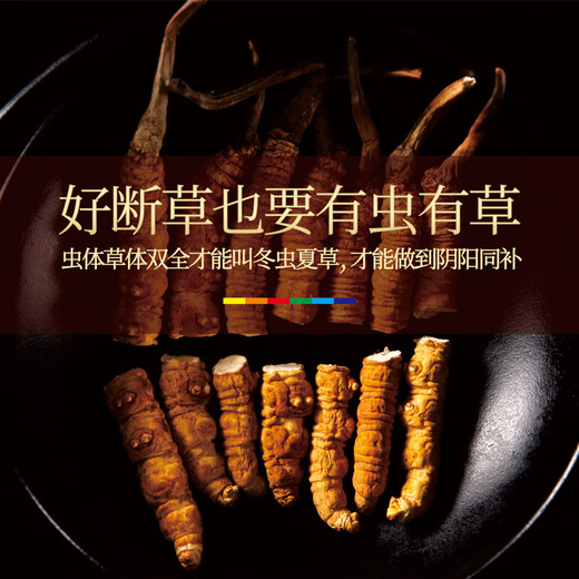 晶草 冬虫夏草断虫草 大断草10克 中老年人营养品礼物实惠自用装