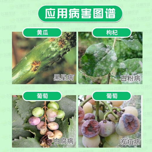 Fu Xing 40% Flusilazole Plant Flower Rose Cucumber Scab Powdery Mildew Pesticide Fungicide 100ml