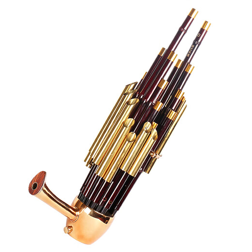 新艺17簧14簧扩音笙乐器大全圆笙方笙修笙工具竽乐器笙包初学者 14簧漆金笙【紫竹大漆、黄管】
