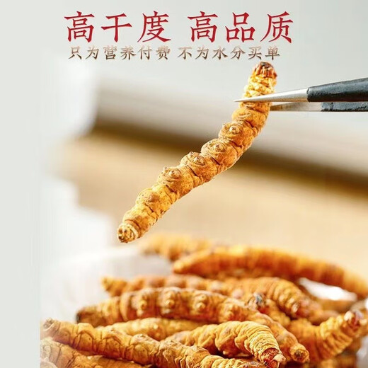 鹿章堂正宗藏区高海拔精品断虫草断草冬虫夏草自食买10克发11克多买多惠 西藏那曲高海拔纯肉整节80克（送10克发90克）