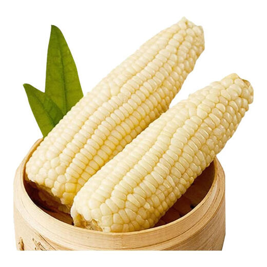 Tong Chuang Northeast White Waxy Corn on the Cob Fresh Sweet Waxy Corn on the Cob Meal Replacement Light Food Vacuum Packaging Sticky Corn Northeast White Waxy Corn Net Weight 250g*10 Cobs/Box