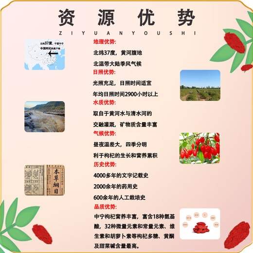 Qi Sange Ningxia Zhongning wolfberry free wash red wolfberry wolfberry wolfberry tea New Year gift gifts 250g*4 cans