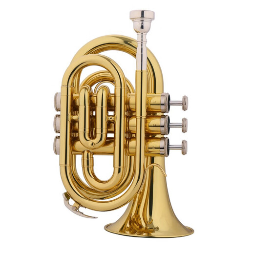 Jinbao Jinbao JBMT-500 B-Flat Palm Number Instrument Anfänger Spielen GOLD Western Windinstrument Jinbao JBMT-500 B-Flat Palm Nummer