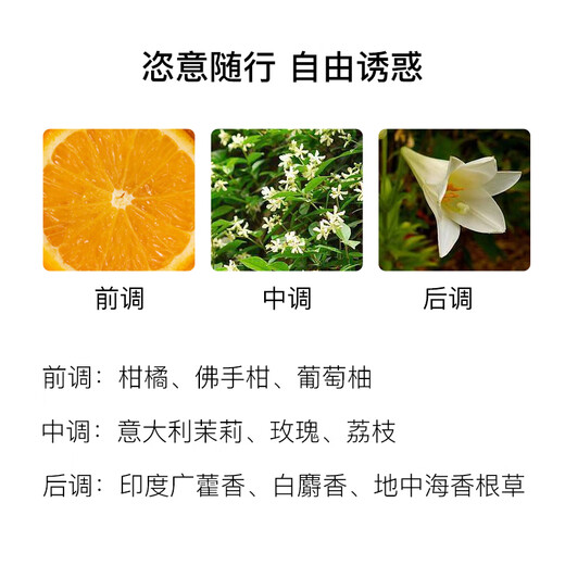 Chanel Coco Mademoiselle Eau de Parfum 50ml Floral Oriental Fragrance Luxury Birthday and New Year Gift for Friends