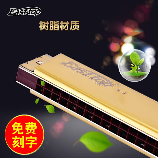 Easttop东方鼎德国进口音簧专业演奏口琴28孔复音重音口琴高级初学成人 28孔 G调 复音口琴-颜色留言