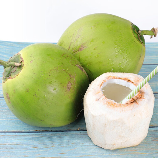 Xirou Hainan Coconut Green Coconut with Skin Green Coconut Fresh Coconut Water Coconut Juice Fruit Healthy Drink for Pregnant Women Freshly Picked Green Coconut with Skin 4 Pack