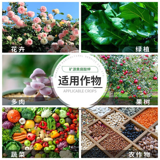 Fuente mineral de ácido fúlvico de potasio, fertilizante soluble en agua para hortalizas y árboles frutales, fertilización, mejora del suelo, resistencia a cultivos intensos, fertilizante medicinal para flores, frutas y verduras, 1000 g, 2 paquetes