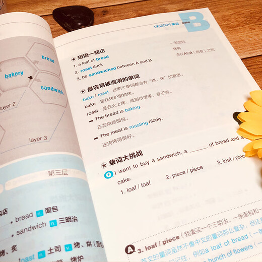 Memorize 50 words in 1 day. Memorize words regularly using the doubling method. Self-study with zero basic knowledge to quickly memorize common English vocabulary. Middle school and high school vocabulary memorization pocket book words.