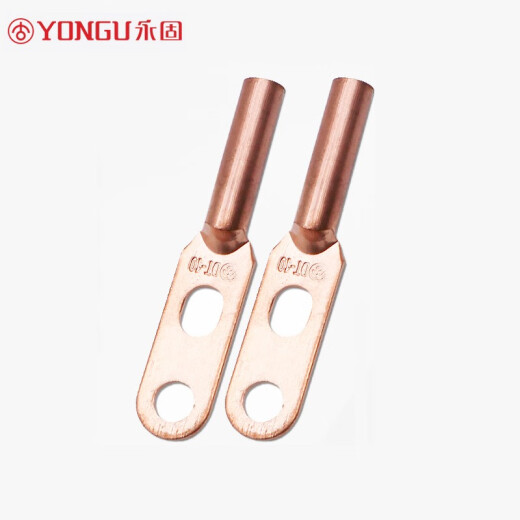 YONGU double-hole copper nose copper connector DT-10S square terminal block cable oil plug lug national standard tinned [2 pieces]