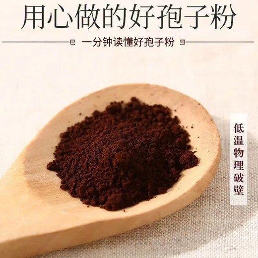 Correct the wall-breaking Ganoderma lucidum spore powder capsule Ganoderma lucidum spore powder enhances immunosurgery nutritional products to visit and give gifts for diseases Broken Spore powder*6 boxes
