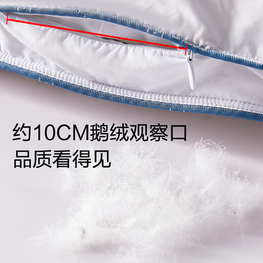 Mercury Home Textiles Quilt Duvet Imported from Poland 95% White Goose Down Infant and Toddler Class A Antibacterial and Anti-mite Goose Down Quilt Winter Quilt Winter Quilt (95% Polish White Goose Down/Class A Antibacterial) 120 150cm (Adapted to 1.0m bed kit)