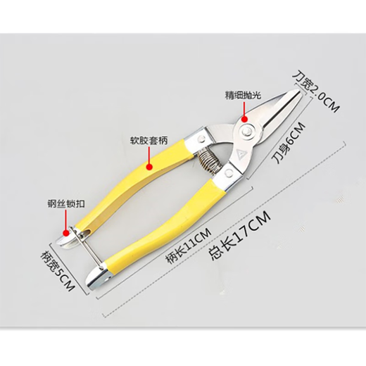 Mo Shenggu stainless steel gardening pruning shears, fruit picking shears, grape and orange picking tools, garden fruit tree scissors, spring shears, small fruit shears