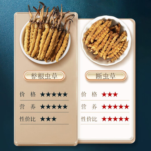 Sandy Konzang Cordyceps Cordyceps Ausgewählte Qualität Cordyceps Cordyceps Ess erschwinglich für Familiengeschenke Ganzes Pure Meat Festival 50g Pack