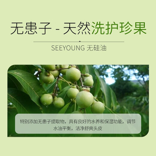 滋源（seeyoung）生姜防脱育发洗发水无患子无硅油控油洗头水膏洗发露轻盈蓬松去屑 控油洗发水265ml送200ml