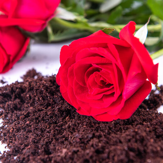 Manlife 2L imported general-purpose nutritional soil for growing flowers and vegetables, peat soil, rich tree planting soil, organic soil