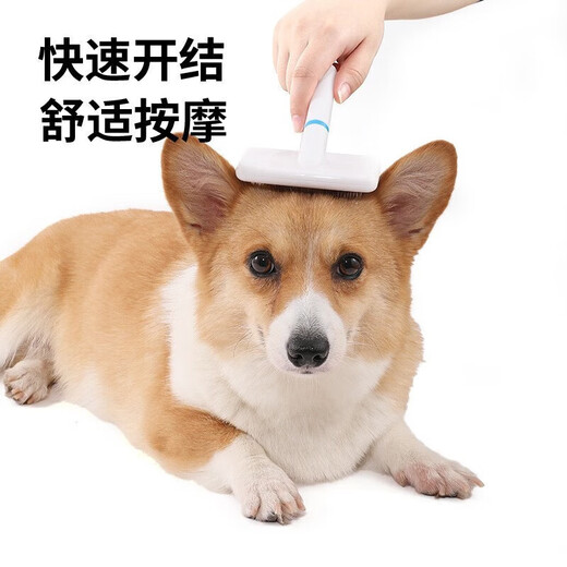 Pet Youwei Pet Comb Teddy Golden Retriever Dog Open Knot Pet Cat Comb Density Tooth Small Row Needle Comb Flea Comb Remove Floating Hair Small White Comb