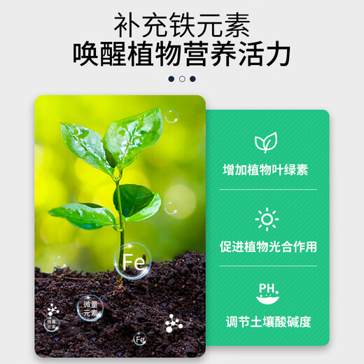 Correct Flower Lotto * Ferrous Sulfate Flower Fertilizer Acid-loving Plants Yellow Leaves Fall Leaves for Flowers and Green Plants Iron Supplementing Water-Soluble Fertilizer 500g