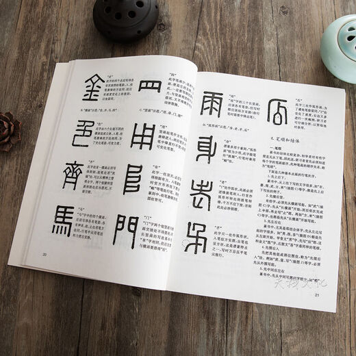 怎样写篆书甲骨文金文技法集唐诗章法入门毛笔书法练字帖临摹字典 精装篆书字典795页