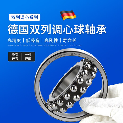 德国BKD进口轴承1200/1201/1202/1203/1204/1205/1206/1207/1 1204TVP.P5